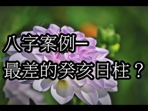 癸亥 女|癸亥日详解